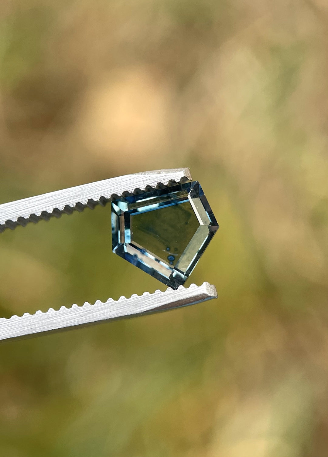 A close-up of a 1.70-carat custom step cut shield sapphire held in tweezers. The sapphire displays a stunning parti-coloration with shades of blue, green, and yellow against a blurred background.
