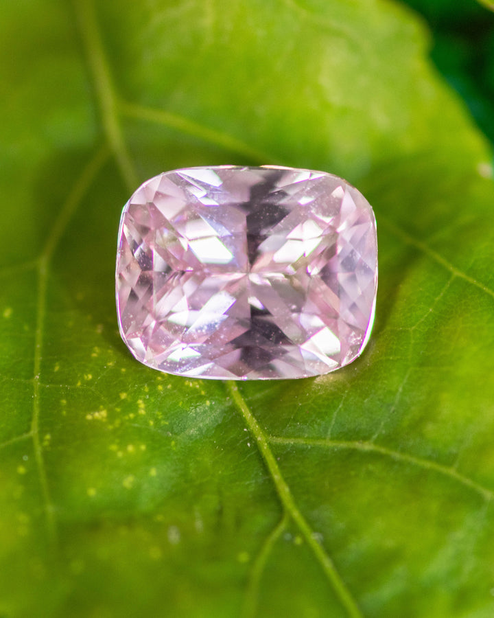 1.57 carat pink peach sapphire resting on a green leaf, displaying soft pastel hues and radiant reflections of the cushion cut, untreated gemstone from Sakaraha, Madagascar.
