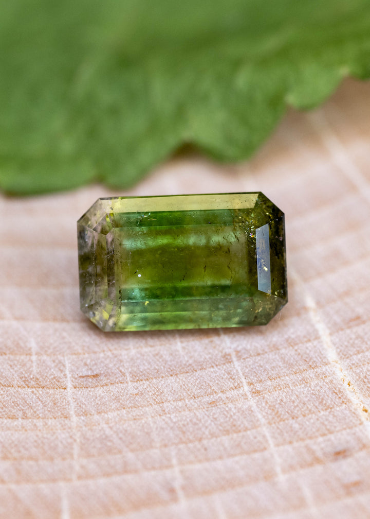 4.06CT Tourmaline: Bi Color Watermelon Yellow Green Pink Emerald Cut