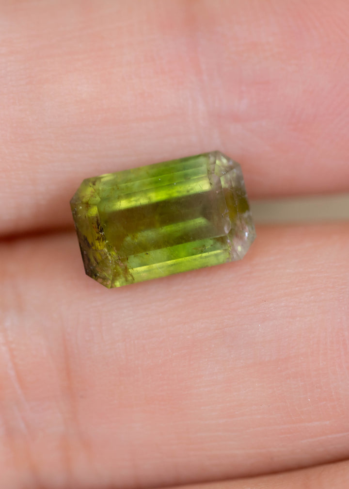 4.06CT Tourmaline: Bi Color Watermelon Yellow Green Pink Emerald Cut