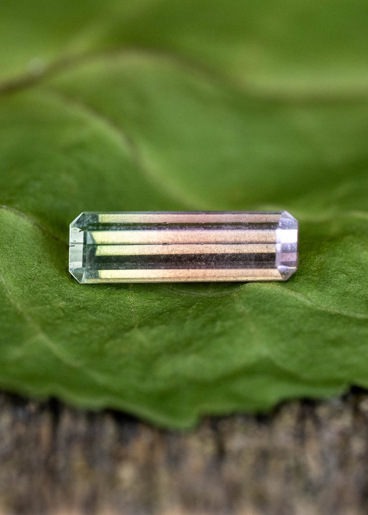 1.72CT Tourmaline: Bi Color Watermelon Pastel Green Pink Precision Elongated Emerald Cut