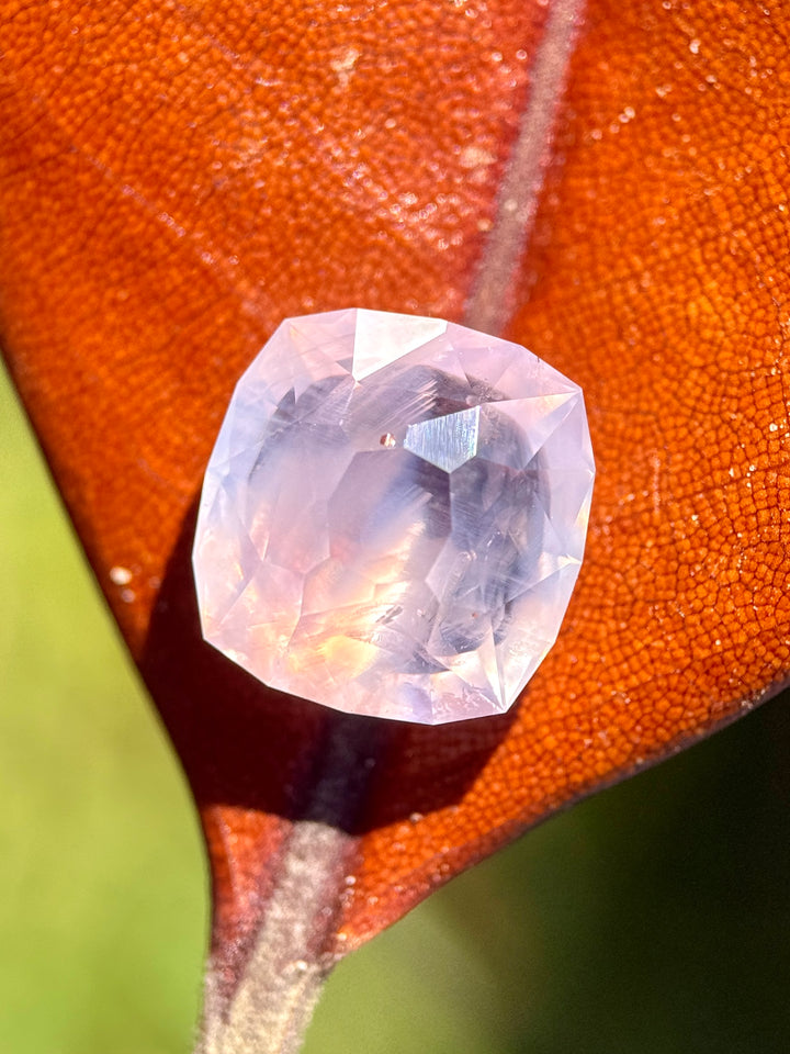 Light pink opalescent cushion mixed cut sapphire from Sri Lanka resting on an copper toned leaf glowing in direct sunlight. 