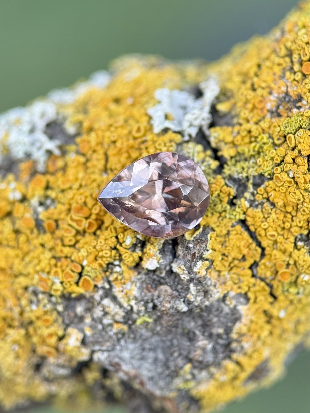 Natural 1.04 carat color change sapphire in earthy mauve tone, photographed outdoors on lichen, Umba River origin