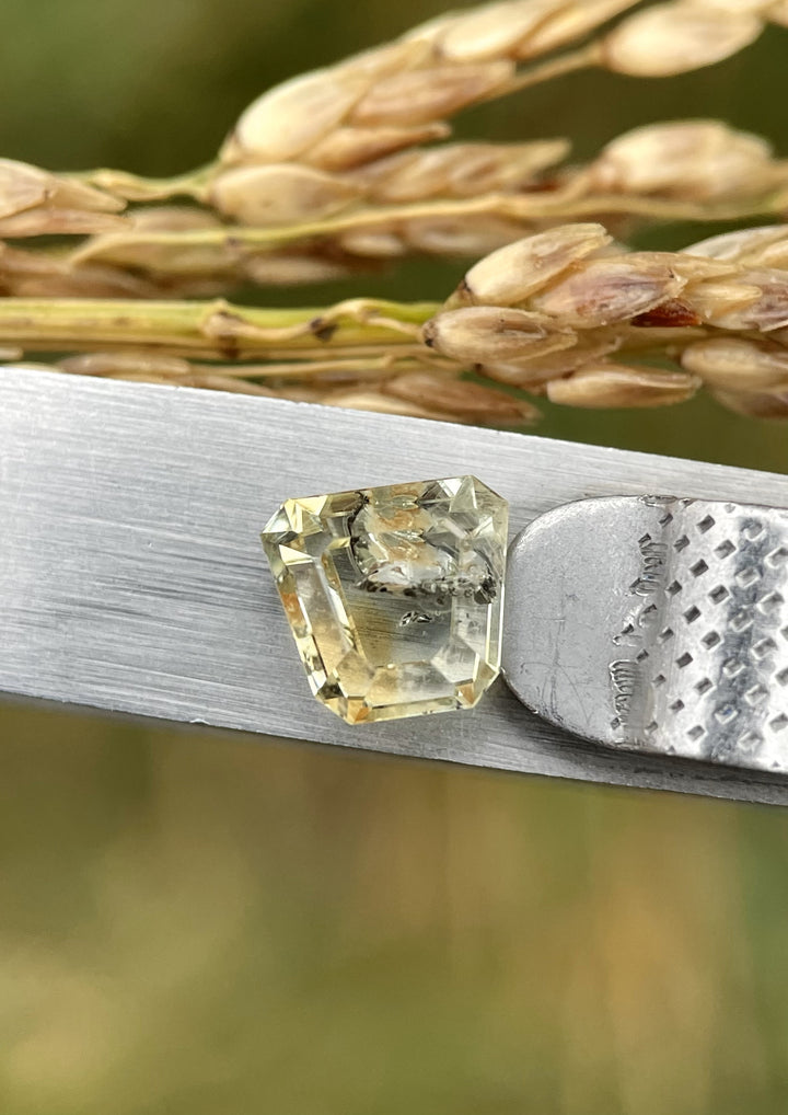 A stunning earthy yellow-green sapphire weighing 1.68 carats, placed on a textured natural background, highlighting its unique custom shield tablet cut.
