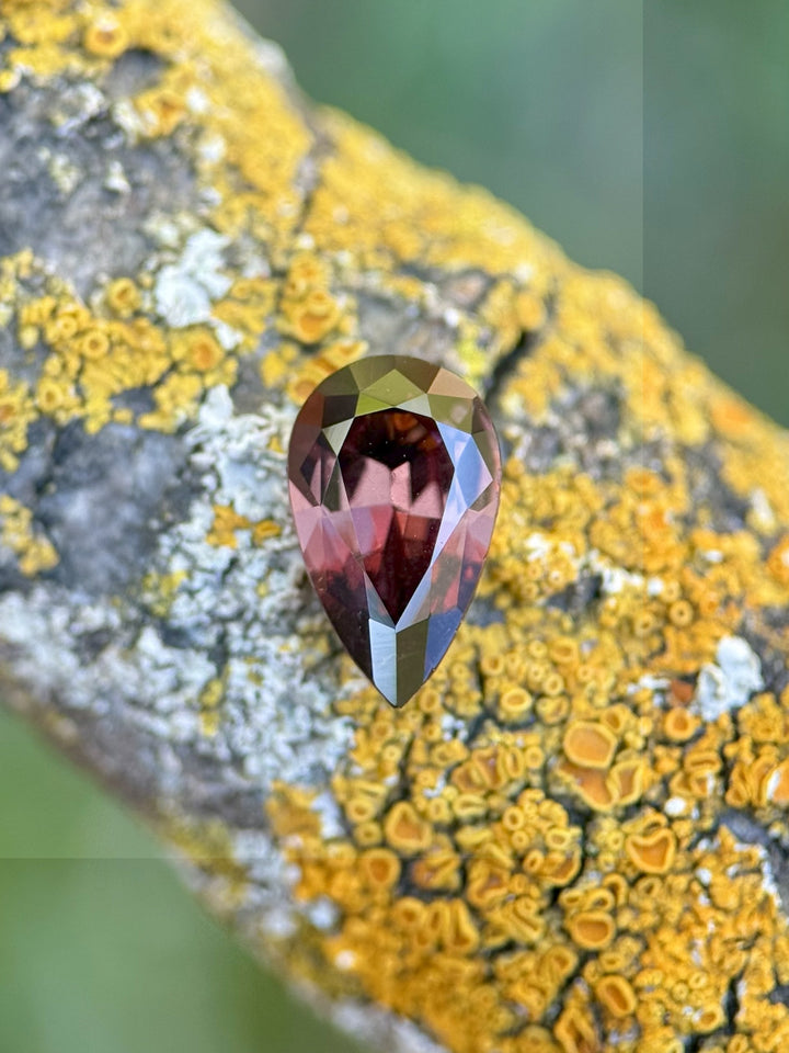 Macro photo of a 1.39ct natural red and purple pear sapphire on yellow lichen-covered tree bark, from Umba River, Tanzania