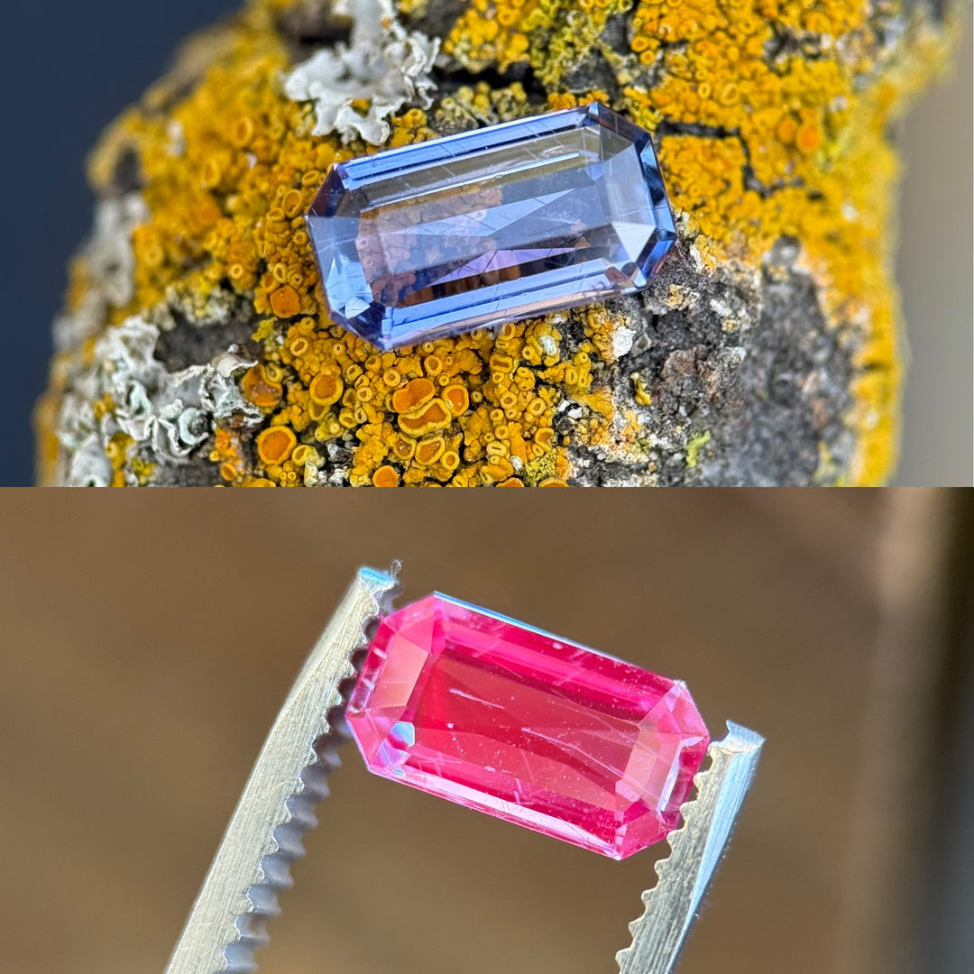 Color-shifting 1.41ct violet blue sapphire from Tanzania displayed on moss-covered bark and under fluorescent lighting showing vivid red fluorescence