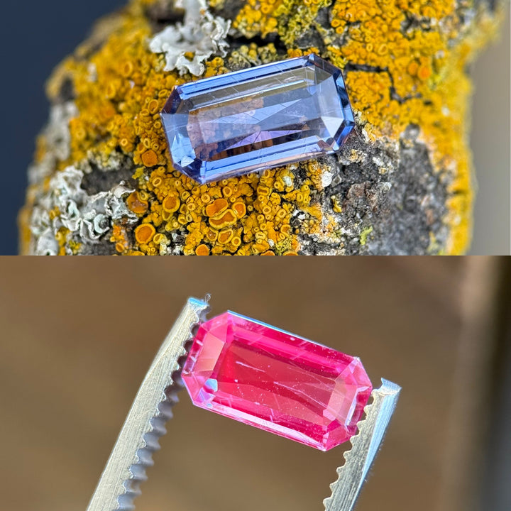 Color-shifting 1.41ct violet blue sapphire from Tanzania displayed on moss-covered bark and under fluorescent lighting showing vivid red fluorescence