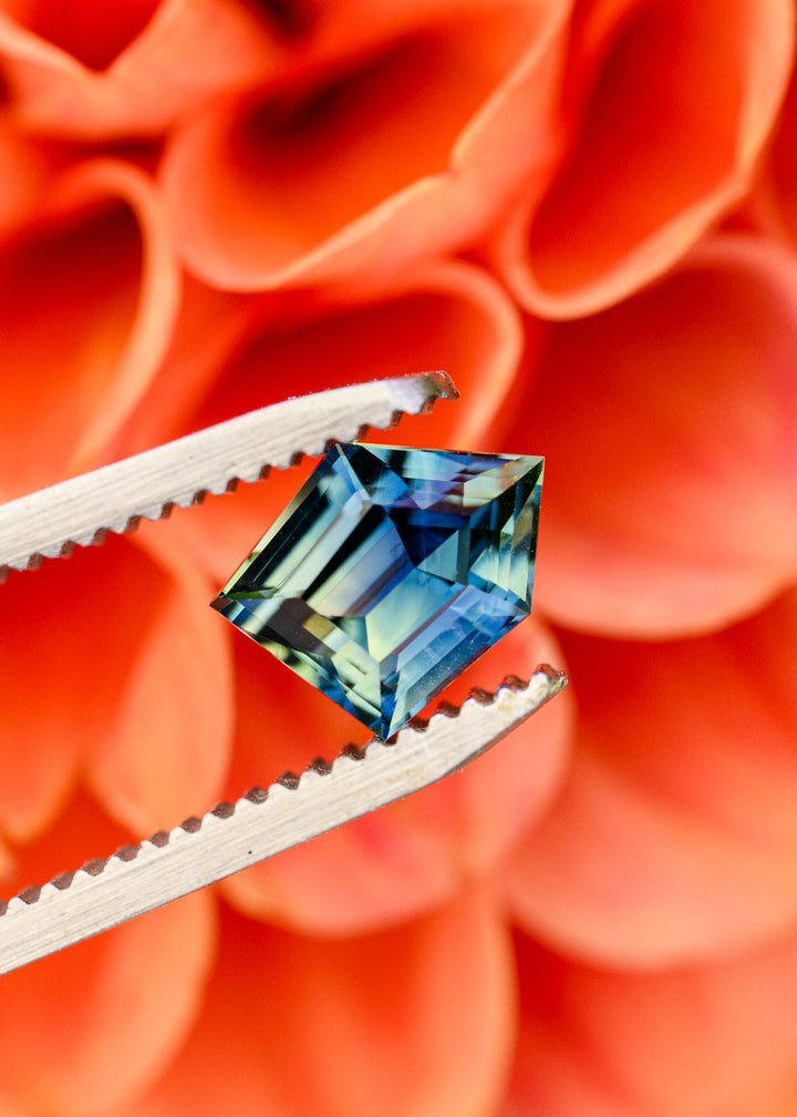Freeform geometric step-cut sapphire held in jeweler’s tweezers against orange petals, displaying deep blue and teal center tones with pale green and yellow flashes along the angular facets.