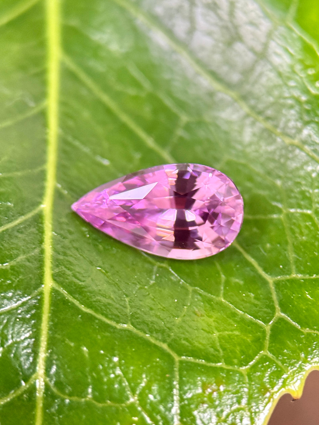 Pink gemstone on a green leaf