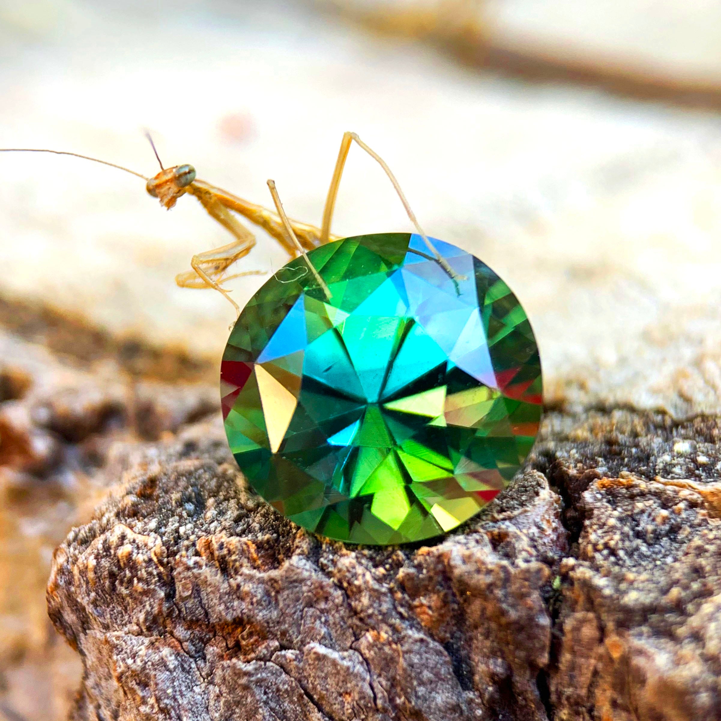 Vivid green loose gemstone on natural wood beside a praying mantis, showcasing rare color, natural beauty, and one-of-a-kind character.