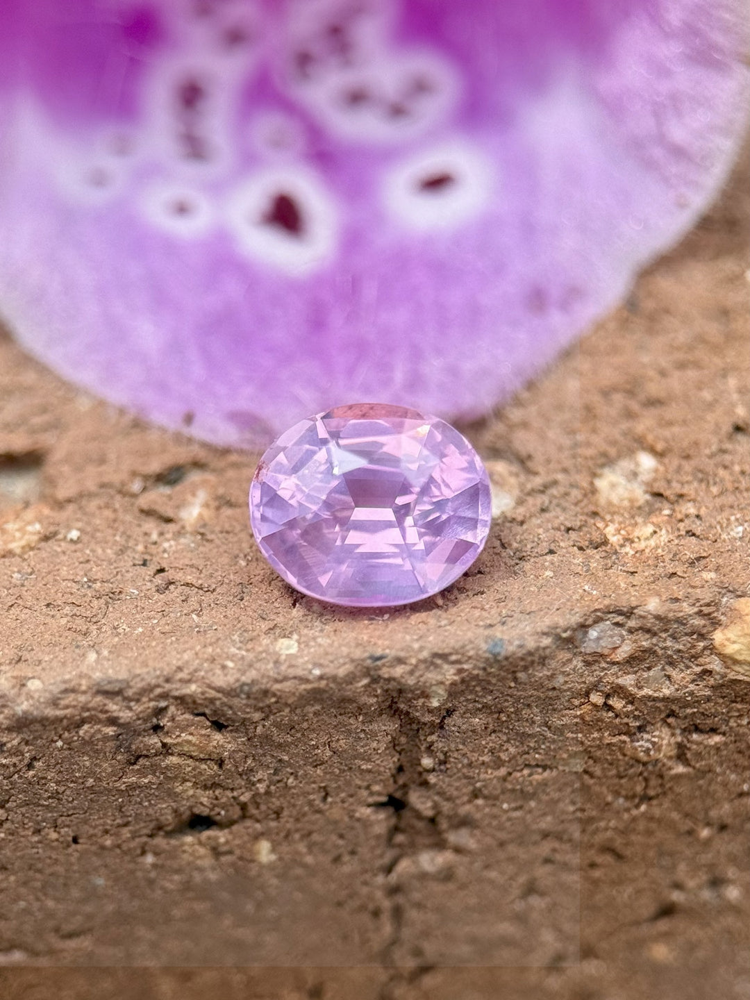 1.21 carat pink sapphire resting on natural surface with purple flower backdrop – oval cut heated gemstone from Ratnapura