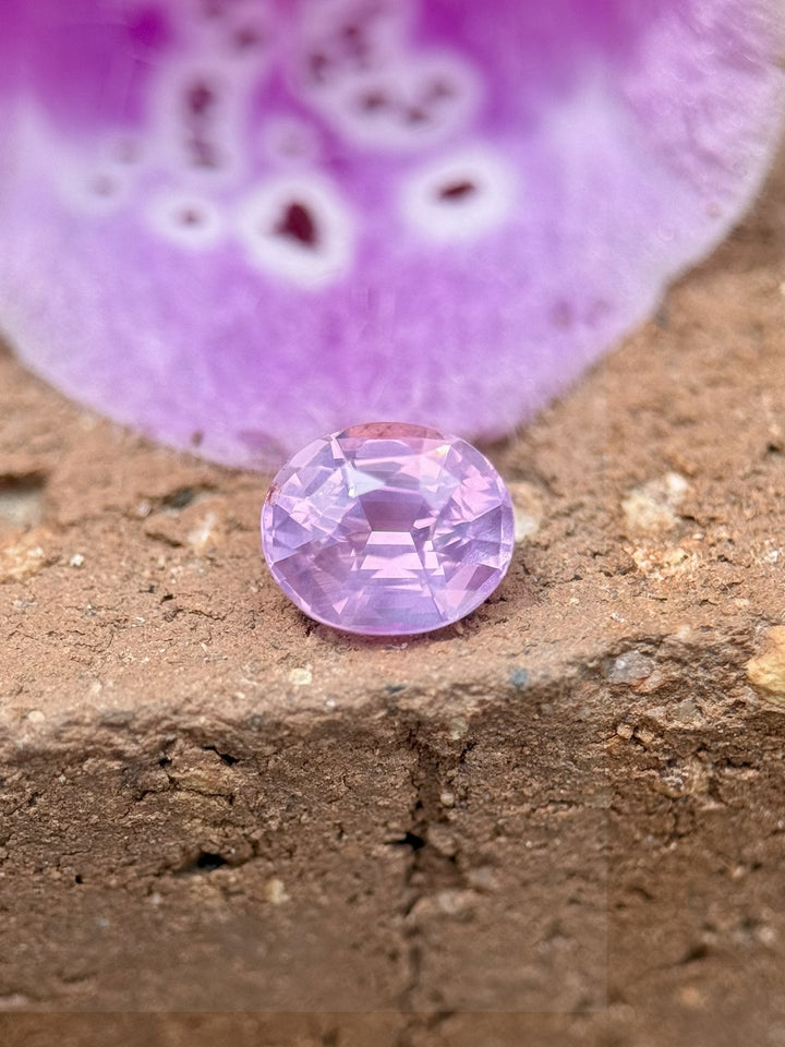 1.21 carat pink sapphire resting on natural surface with purple flower backdrop – oval cut heated gemstone from Ratnapura
