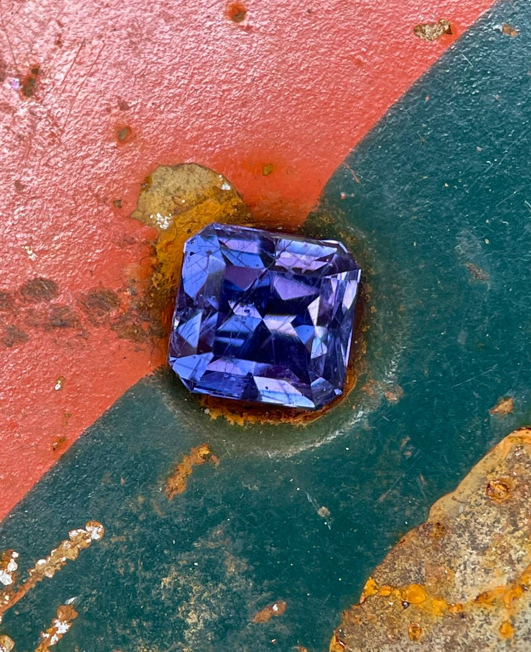 Violet and purple sapphire, 1.68 carats, displayed in hand against a lush greenery background, showcasing its unique custom octagonal step cut.