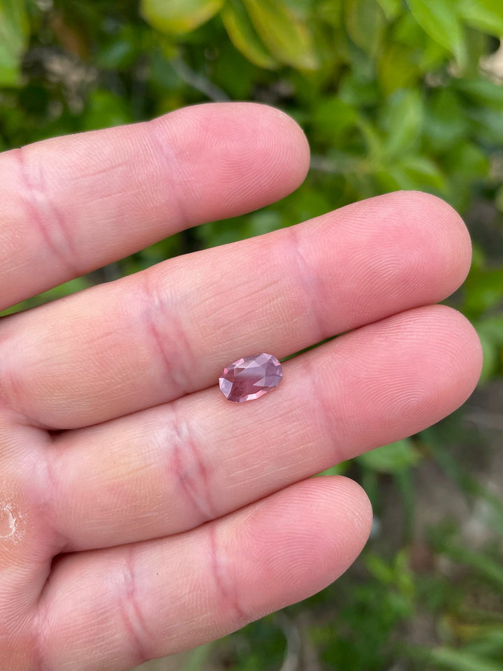 Close-up of a grapefruit and pastel colored sapphire with an elongated cushion cut, showcased within tweezers with a softly blurred green backdrop.