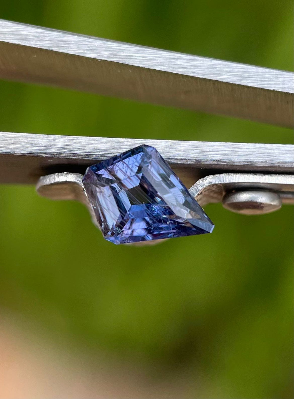 1.37 carat parti-colored sapphire, showcasing shades of teal, purple, and blue, presented on tweezers with a vibrant natural background.