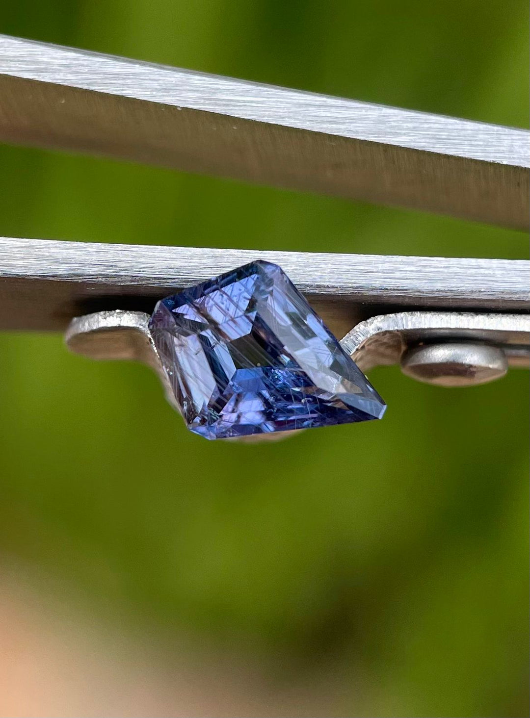 1.37 carat parti-colored sapphire, showcasing shades of teal, purple, and blue, presented on tweezers with a vibrant natural background.