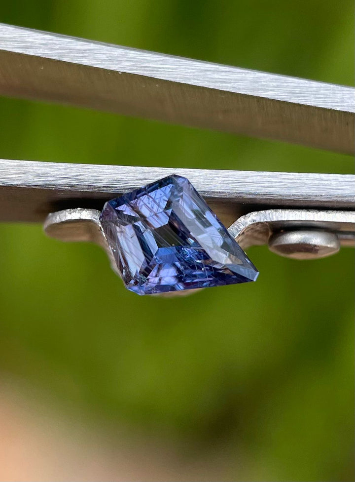 1.37 carat parti-colored sapphire, showcasing shades of teal, purple, and blue, presented on tweezers with a vibrant natural background.