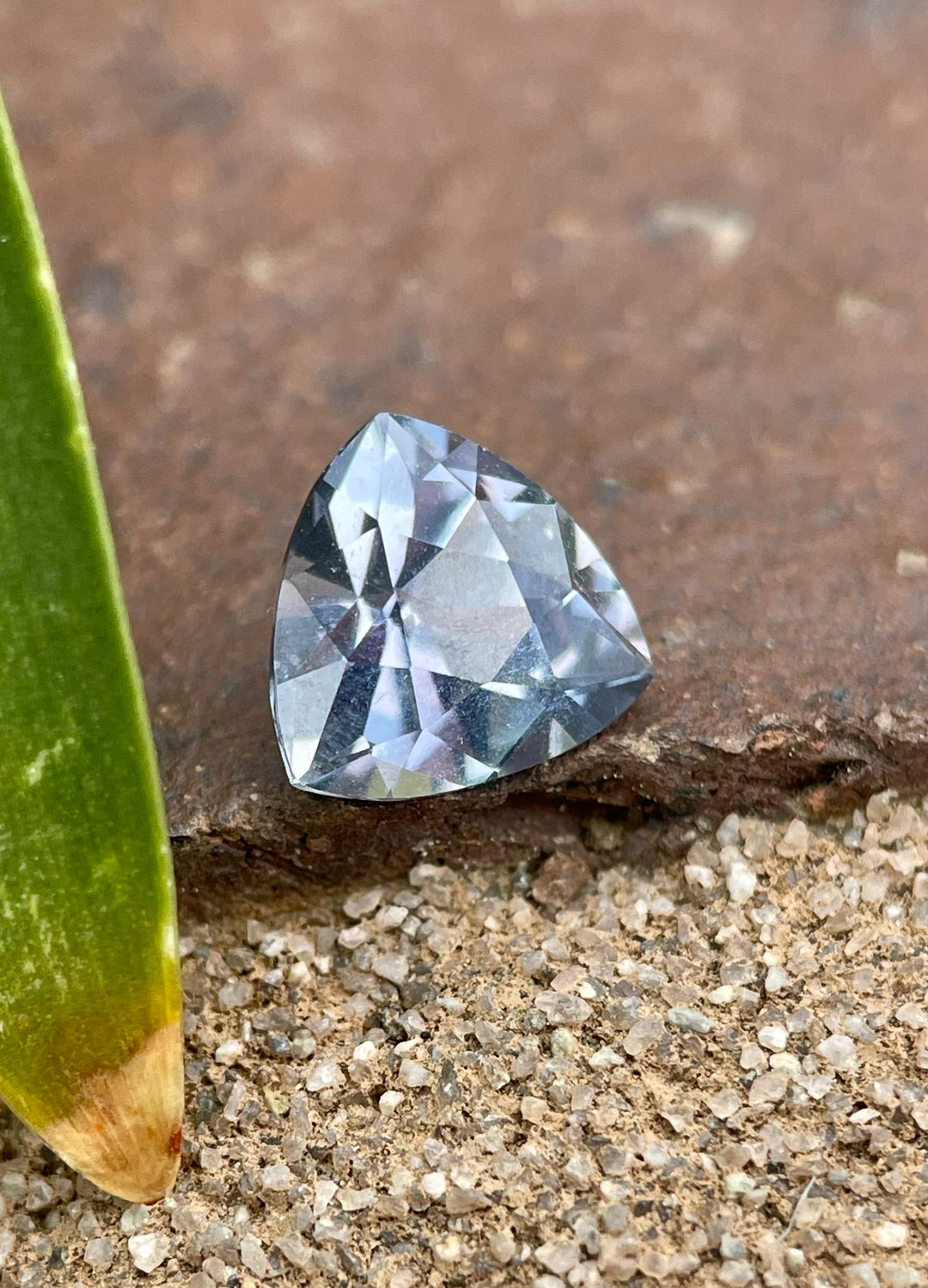 Trillion cut sapphire of 1.50 carats from Umba River, Tanzania, placed on a rough surface beside a green plant, highlighting its untreated, natural state and vibrant colors.