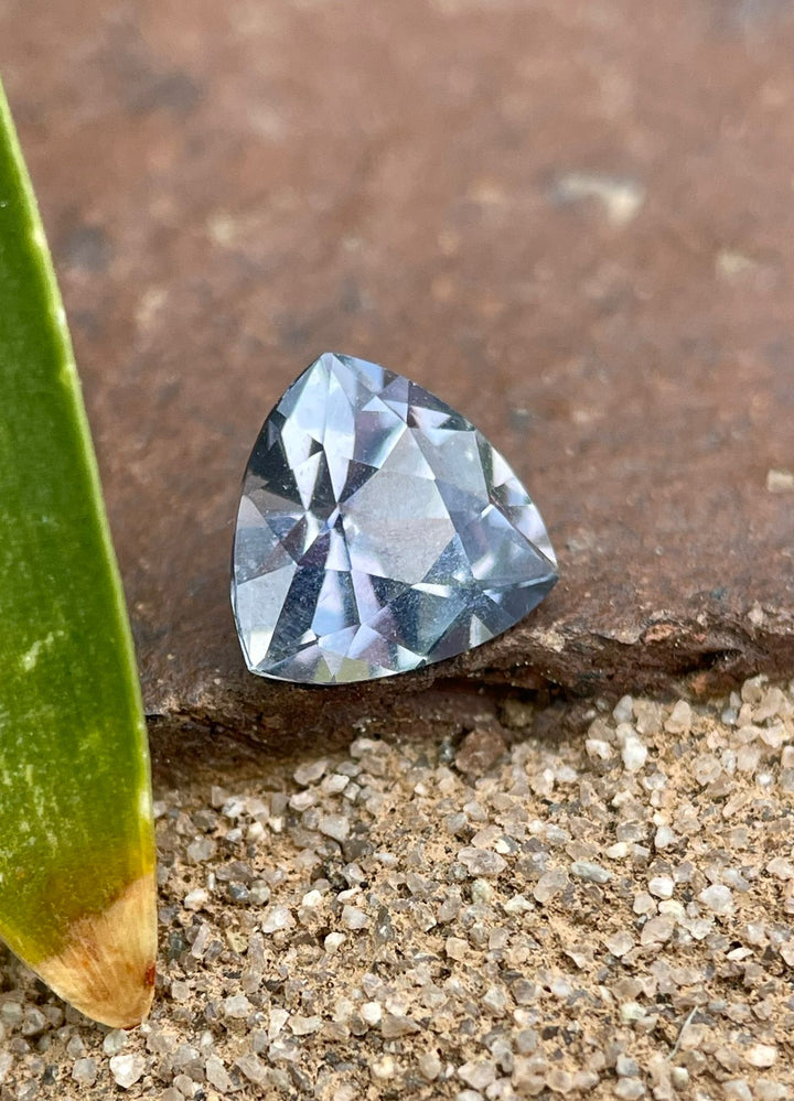 Trillion cut sapphire of 1.50 carats from Umba River, Tanzania, placed on a rough surface beside a green plant, highlighting its untreated, natural state and vibrant colors.