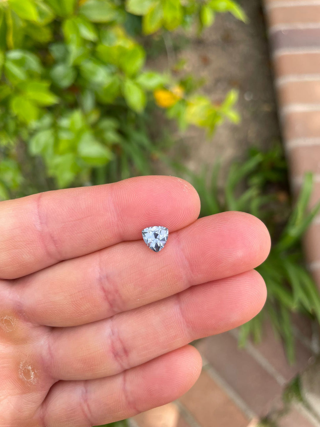 1.50 carat custom trillion cut sapphire in hand, displaying a blend of gray, purple, and blue hues, set against a lush garden background.