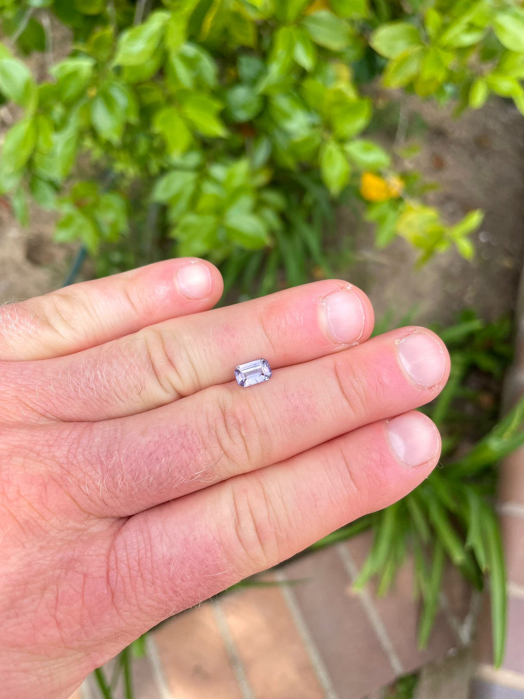 1.24 carat modified emerald cut sapphire in brown and purple hues, held between fingers with a lush garden backdrop, originating from Umba River, Tanzania.