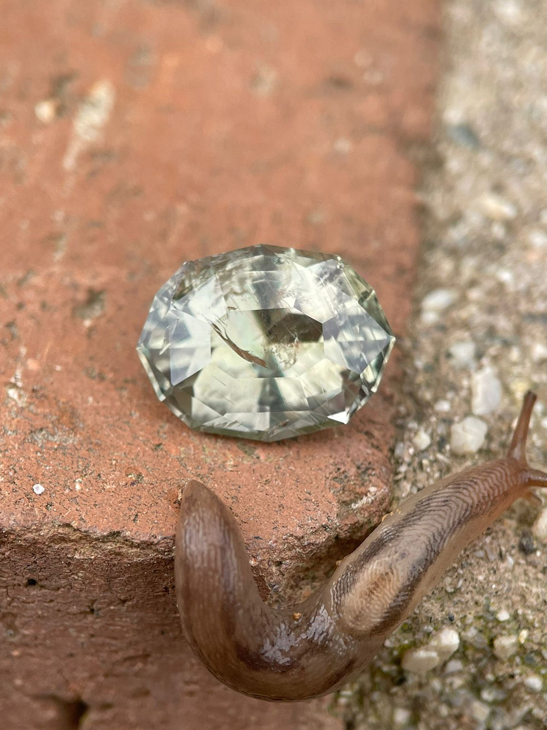 Outdoor image of a color-changing sapphire next to a snail on a brick surface, displaying its custom geometric oval cut and natural color transition from teal blue green to greenish peach, sourced from the Umba River, Tanzania.