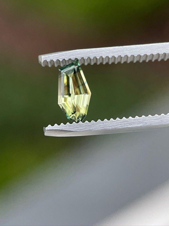 Precision view of a yellow-blue sapphire in tweezers against a blurred green background, emphasizing its freeform geometric cut and vibrant color blend, highlighting its origin from Nigeria and its natural state.