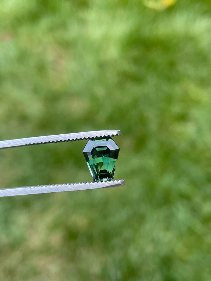 Precision view of a 2.38-carat teal green sapphire in tweezers against a green garden background, emphasizing its step cut design and flawless surface.