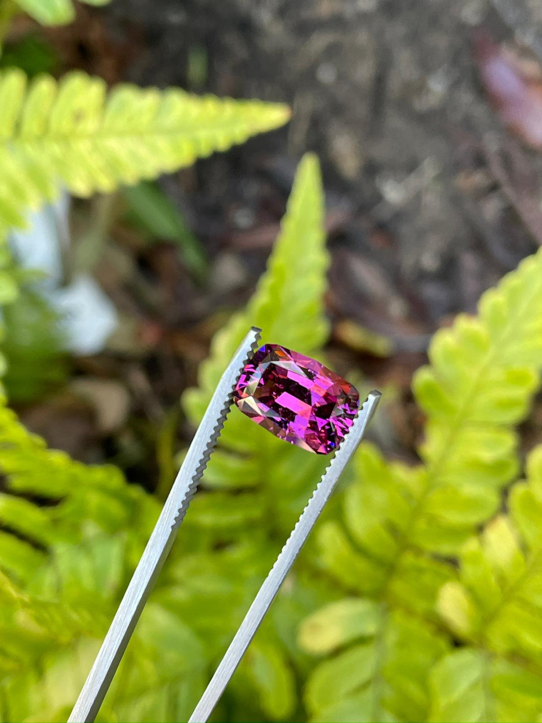 Close-up view of a 4.29-carat garnet held by tweezers, showcasing its striking purple, pink, and red colors and geometric modified cushion cut against a natural green fern backdrop.