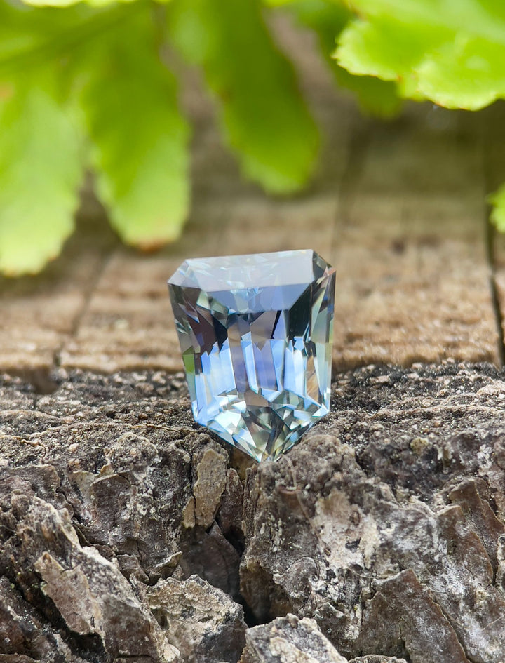 Brilliant 2.74-carat Sri Lankan sapphire with a custom step cut shield shape, perched on a rugged bark, highlighted by its vibrant parti colors and natural backdrop.