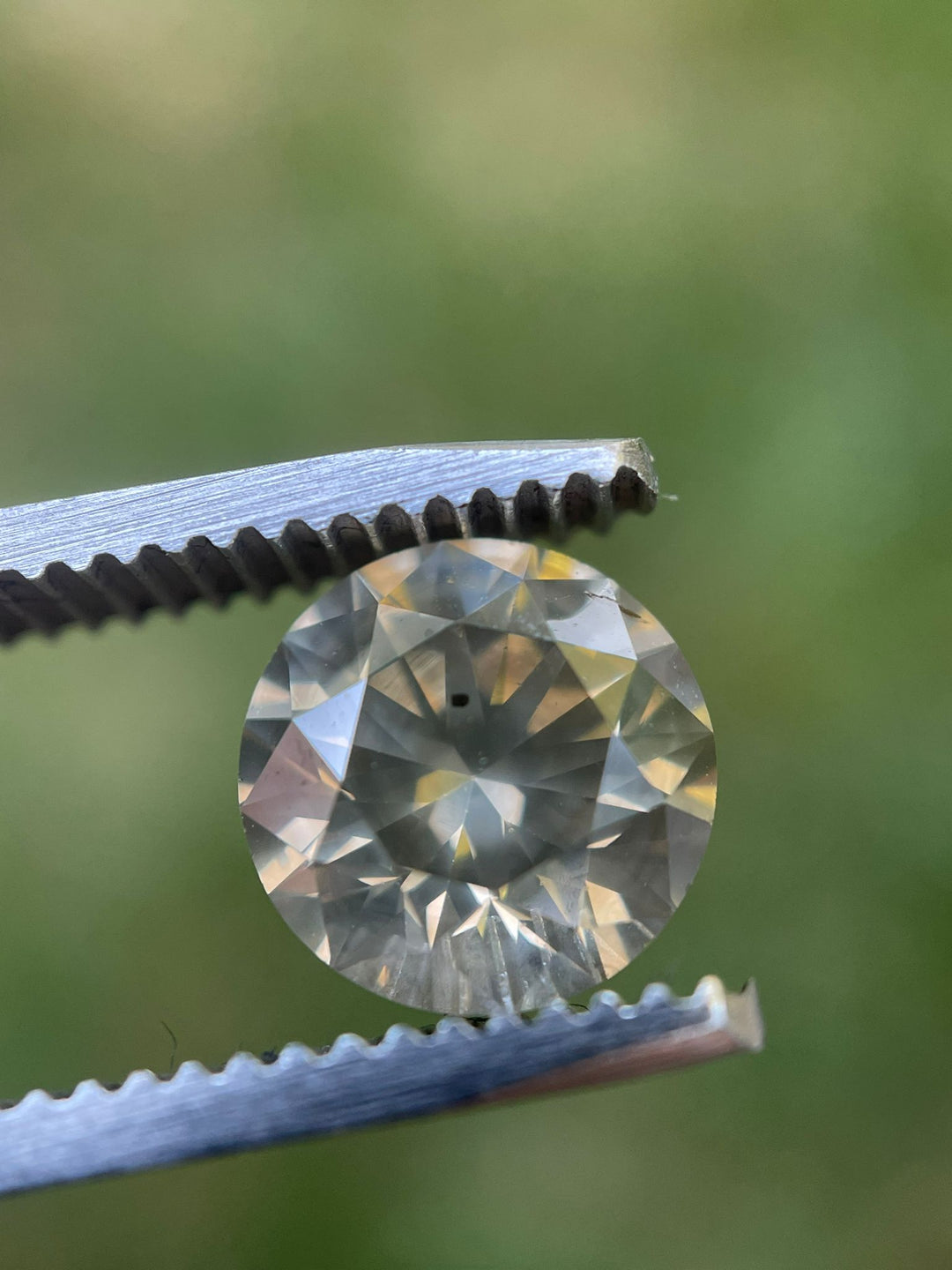 2.53-carat Fancy Gray diamond positioned on a lush green leaf, with a round brilliant cut that captures the light, sourced from South Africa, demonstrating natural beauty and craftsmanship.