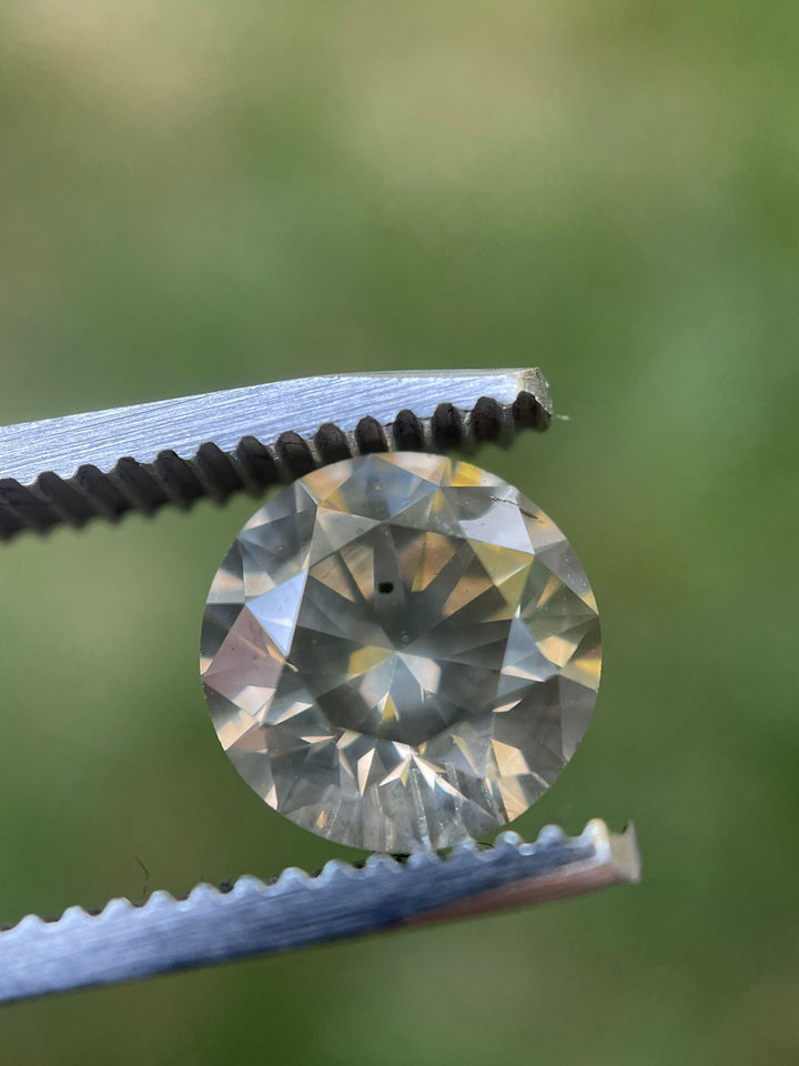 2.53-carat Fancy Gray diamond positioned on a lush green leaf, with a round brilliant cut that captures the light, sourced from South Africa, demonstrating natural beauty and craftsmanship.