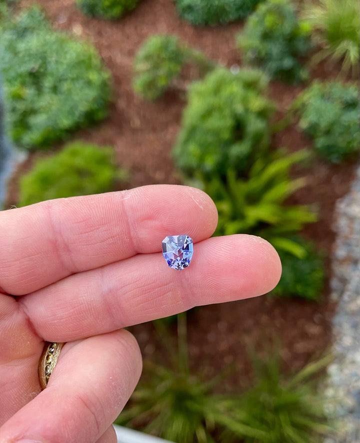 Close-up of a 3.19-carat Tanzanite from Merelani Hills, Tanzania, in a person’s hand, showcasing its unique shield cut and radiant blue and purple colors.