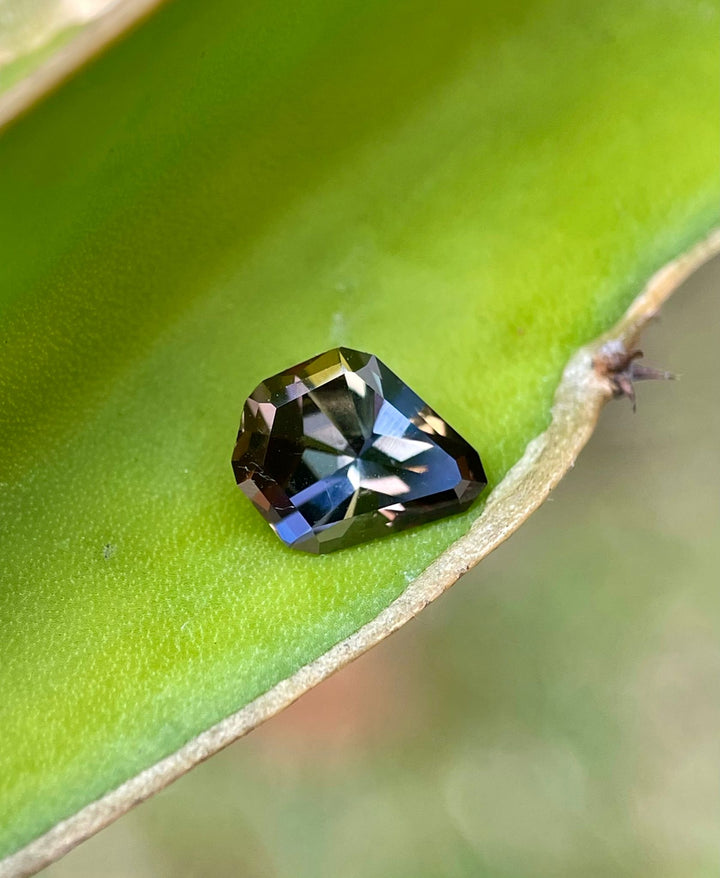 Elegant 1.41 carat Tanzanite gemstone displayed on a green leaf, showcasing its custom geometric mix cut shield shape and vibrant mix of yellow, green, red-orange, and brown colors. Originating from Merelani Hills in Tanzania, this natural, untreated gemstone highlights its unique multi-colored facets