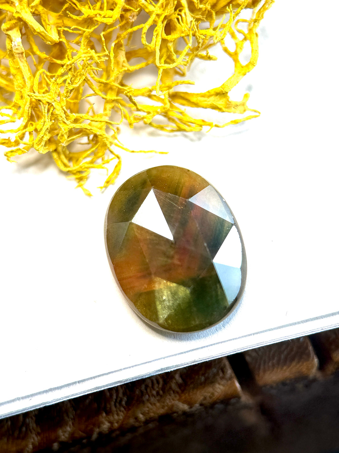 Large oval rose-cut sapphire resting on white surface beside bright yellow dried roots, showing blended olive green and warm orange color zoning across wide triangular facets.