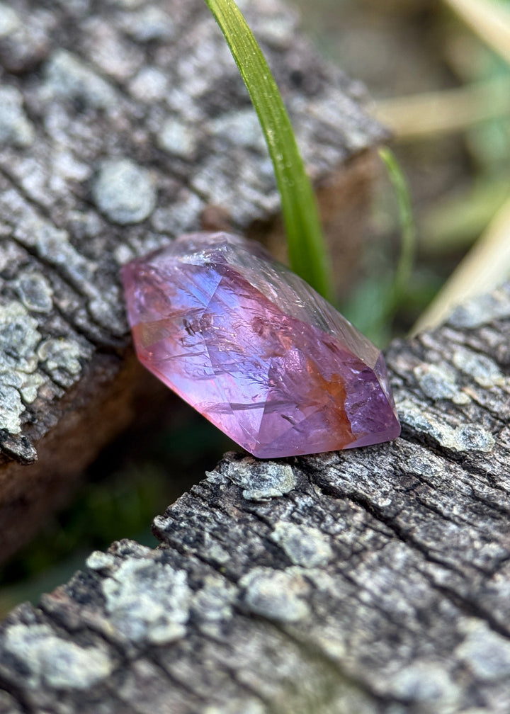 Pink and purple sapphire placed on textured tree bark, highlighting its elongated shape, translucent body, and layered internal silk under natural light.