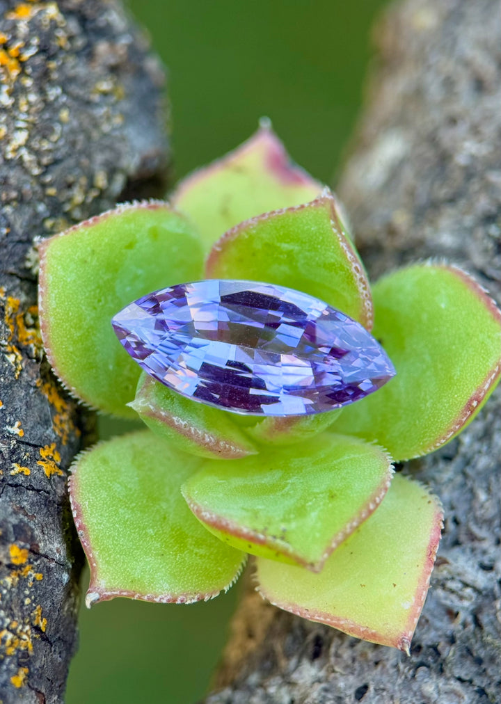 3.08CT Sapphire: Violet Purple Precision Marquise Brilliant Cut