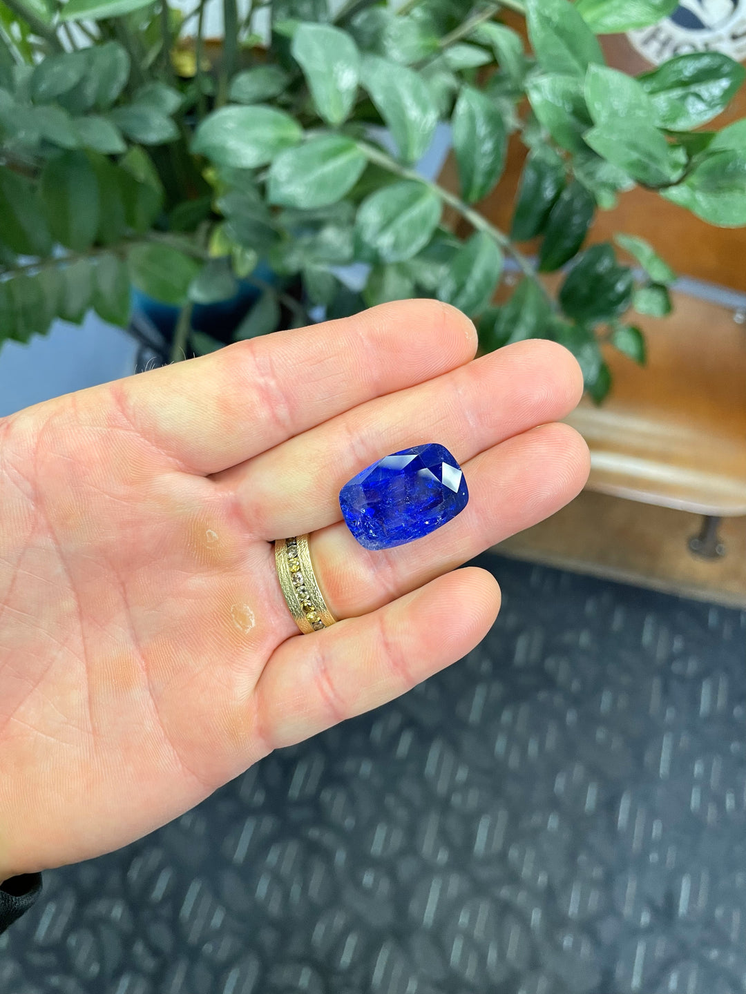 A 27.31-carat untreated tanzanite gemstone held in hand, showing its impressive size and vivid blue color with plants and decor in the background.