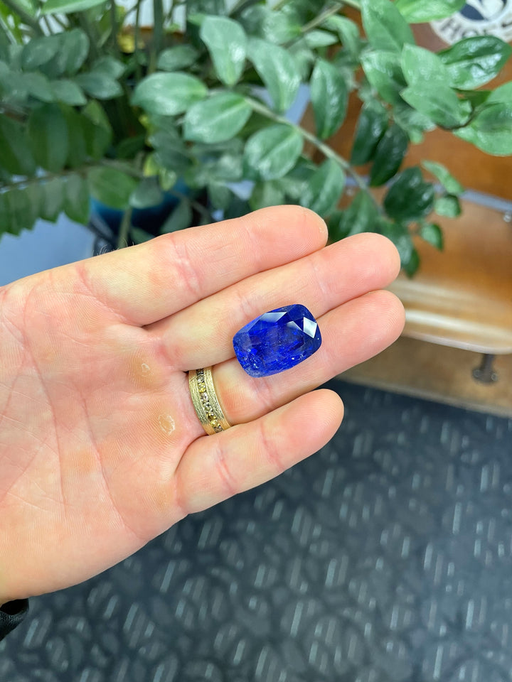 A 27.31-carat untreated tanzanite gemstone held in hand, showing its impressive size and vivid blue color with plants and decor in the background.