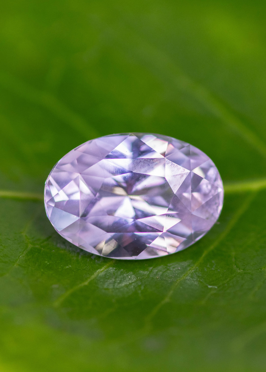 Loose lavender pink purple sapphire from Madagascar resting on a green leaf showing the precision oval mixed cut and soft pastel color in natural light.
