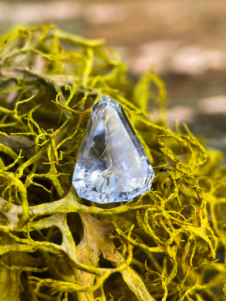 A light Ceylon gray-blue custom shield-cut sapphire, weighing 1.98 carats, resting delicately on vibrant yellow moss. The sapphire exhibits sharp facets and brilliant clarity with a well-proportioned shield shape.