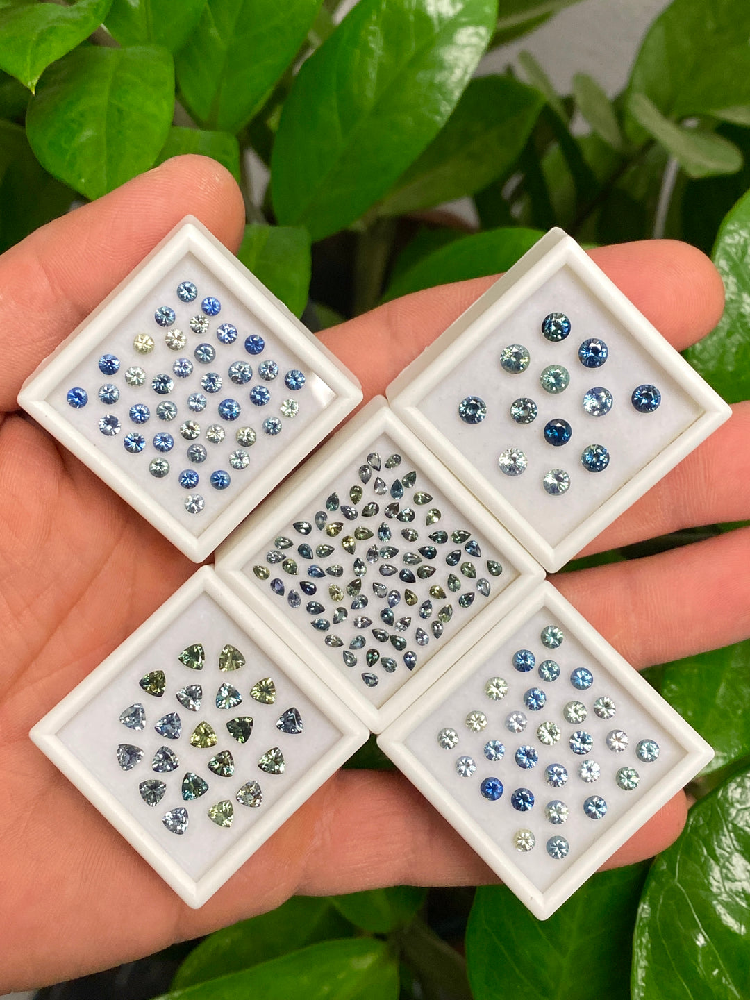 Trays of small loose sapphires in blue, teal, green, and pastel tones selected for custom jewelry accent stones and designer sourcing.
