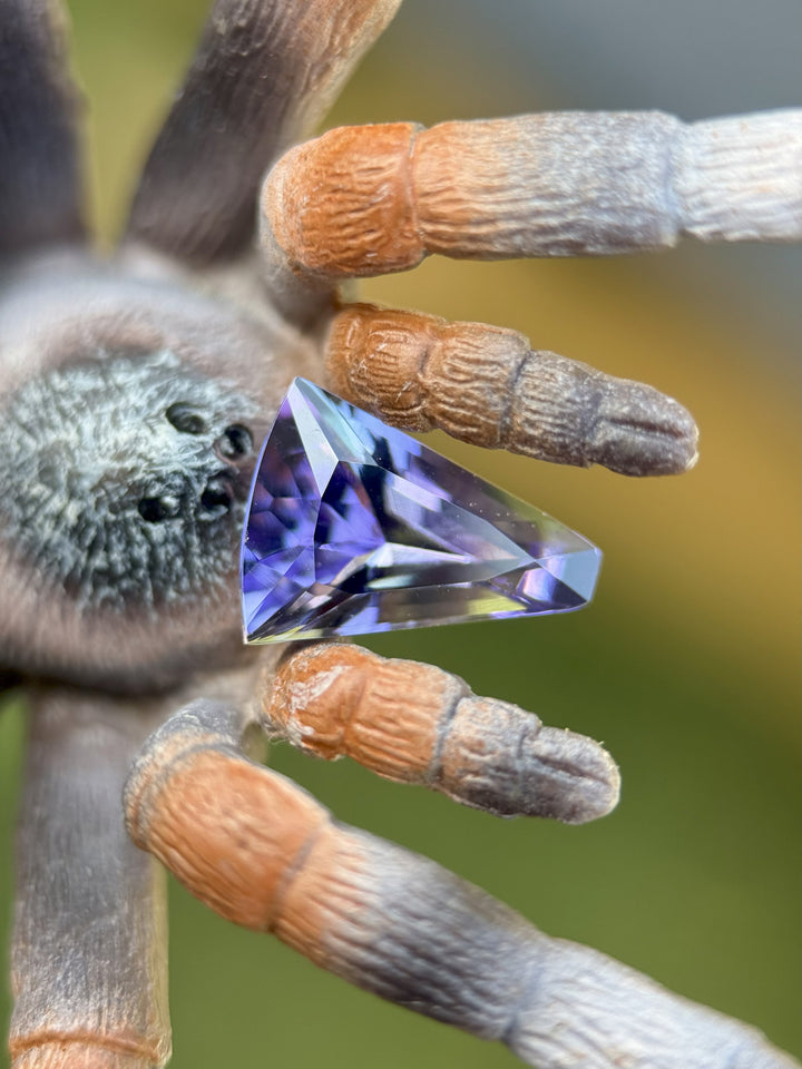 Unique macro photo of 2.74ct Tanzanite with teal-purple glow resting on colorful tarantula legs