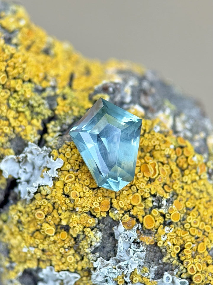 Custom cut shield-shaped parti sapphire from Montana weighing 1.14 carats, resting on a vibrant lichen-covered surface with yellow and white organic textures highlighting its natural origin.