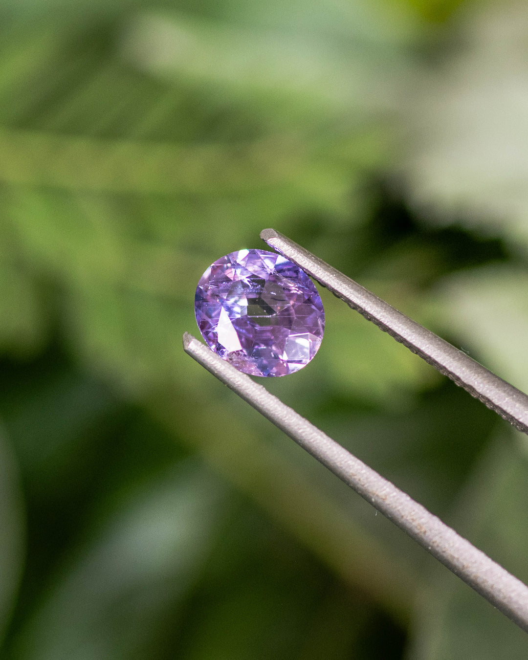 Close-up of 0.68CT violet purple sapphire held securely in gemstone tweezers, highlighting the modified oval cut facets and vivid luster, unheated sapphire from Umba River Valley, Tanzania.