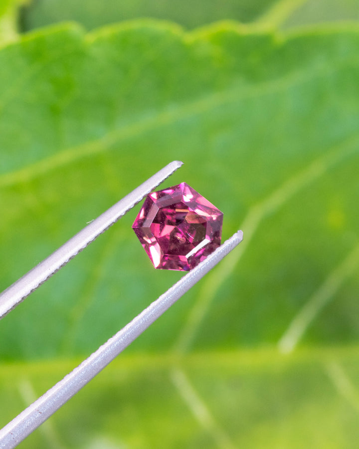 Macro photo of 1.00CT garnet held in gemstone tweezers against a bright green leaf background, capturing its red, pink, and purple hues and intricate shield cut facets, unheated gem from Kenya.