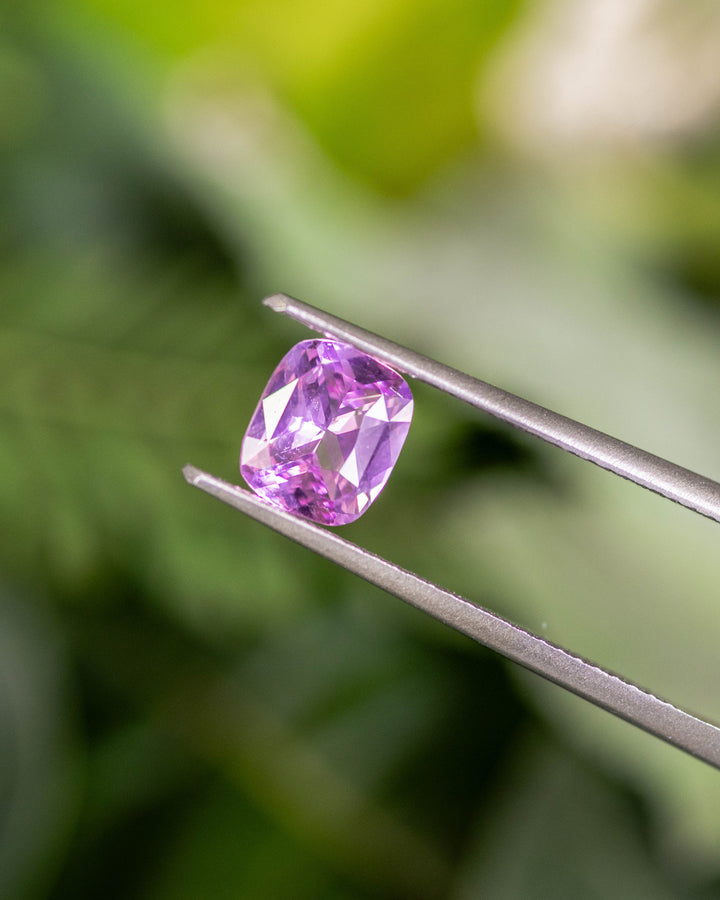 Close-up of 1.01CT pink sapphire held in gemstone tweezers, highlighting vivid brilliance and symmetry of its cushion brilliant cut, unheated natural sapphire from Madagascar.