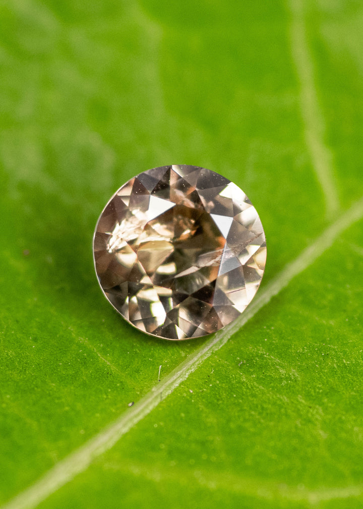 Natural 1.04 carat orange and yellow Tanzanite custom brilliant round cut resting on green leaf, displaying symmetrical faceting, warm champagne tones, and precision cut for custom jewelry.