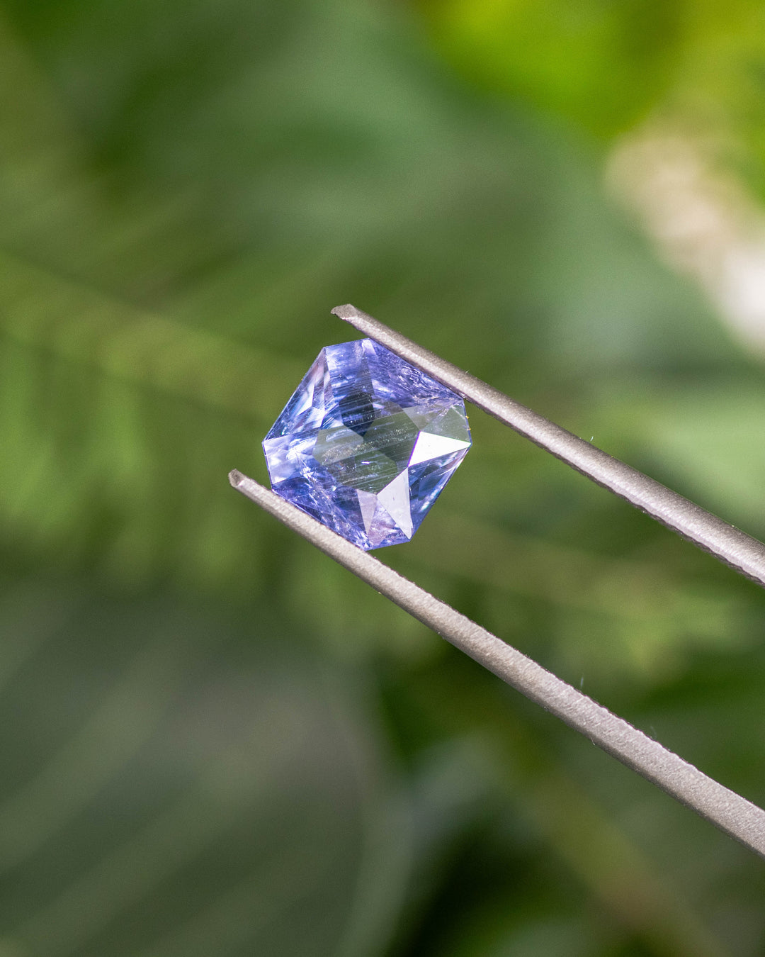 1.26CT violet blue sapphire held in gemstone tweezers with natural greenery in the background, showing brilliance and clean lines of its custom octagonal portrait cut, unheated sapphire from Umba River, Tanzania.