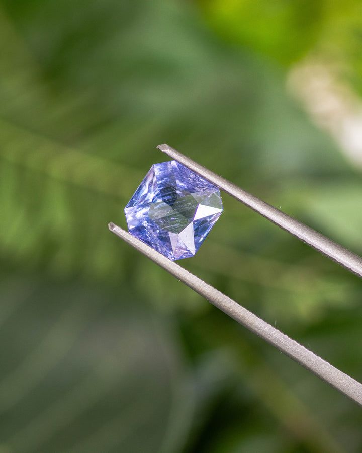 1.26CT violet blue sapphire held in gemstone tweezers with natural greenery in the background, showing brilliance and clean lines of its custom octagonal portrait cut, unheated sapphire from Umba River, Tanzania.
